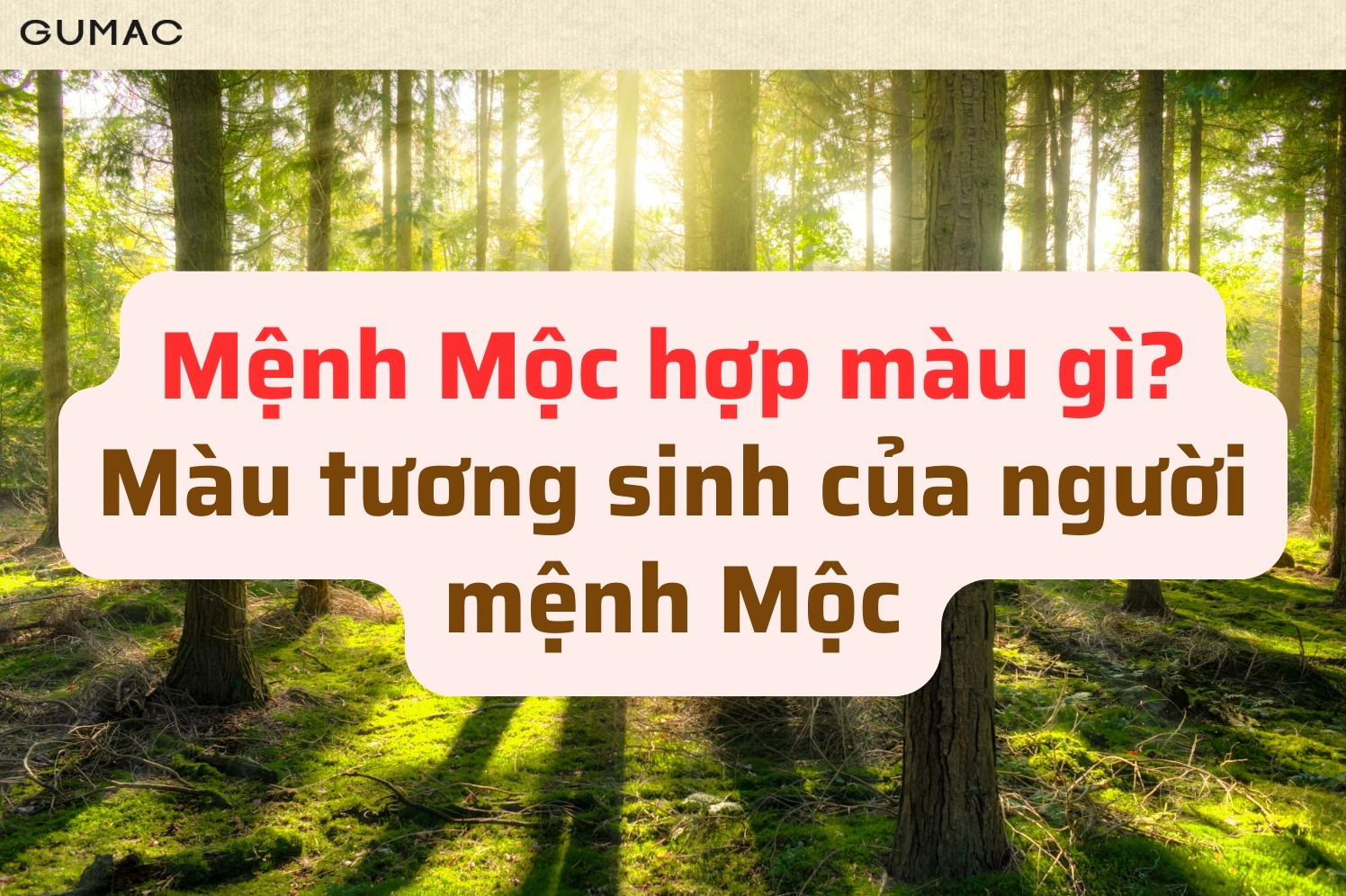 Mệnh Mộc hợp màu gì? Màu tương sinh của người mệnh Mộc.
