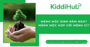 menh-moc-sinh-nam-nao-2026-giai-ma-chi-tiet-cac-nap-am-van-m_222