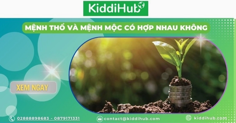 Mệnh thổ và mệnh mộc có hợp nhau không?