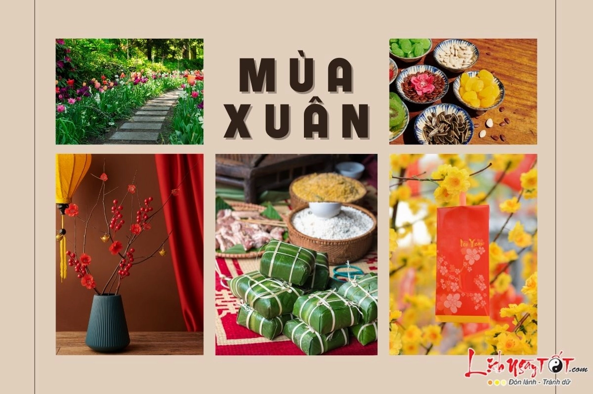 Mùa Xuân tươi đẹp