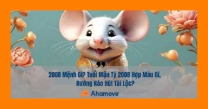 nam-2008-menh-gi-hop-mau-gi-kham-pha-tu-vi-tuoi-mau-ty-chi-t_374