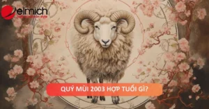 nam-mang-tuoi-quy-mui-2003-lay-vo-tuoi-nao-hop-nhat-de-sang-_981