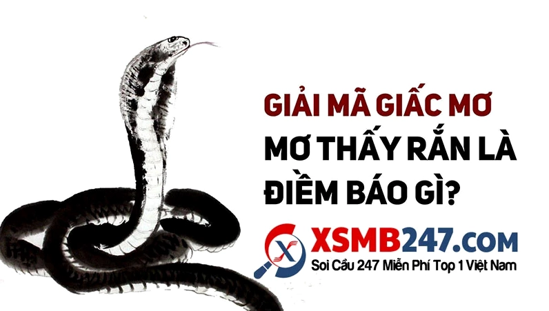 Nằm mơ thấy ổ rắn nhỏ