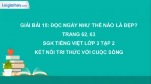 ngay-nhu-the-nao-la-dep-kham-pha-y-nghia-thuc-su-cua-mot-nga_986
