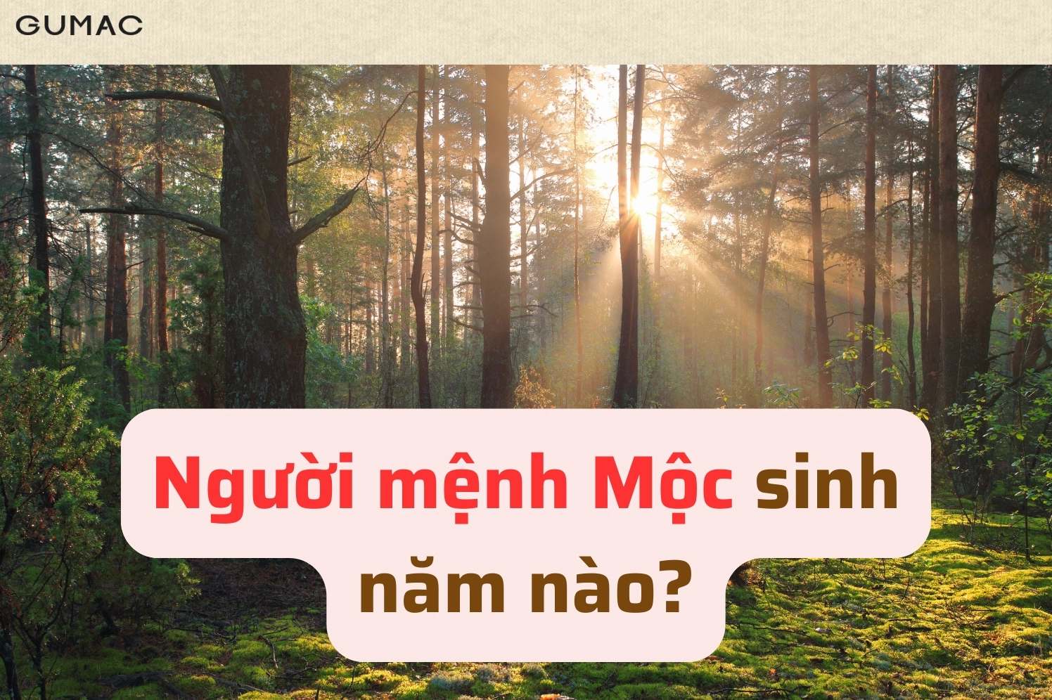 Người mệnh Mộc sinh năm nào?