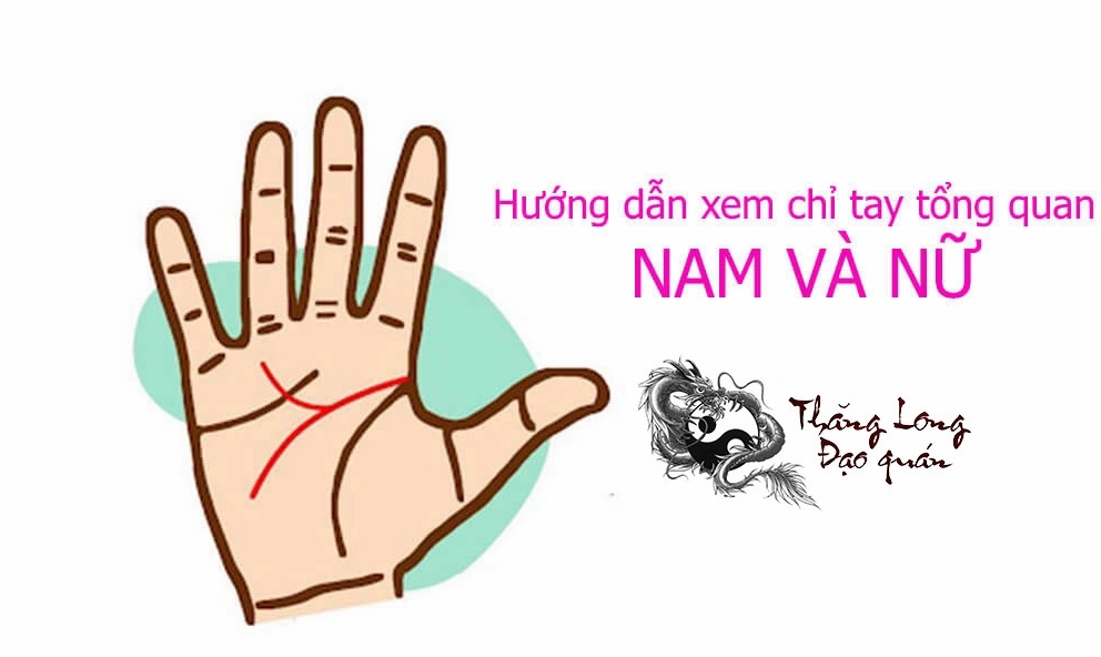 Nguồn gốc xem đường chỉ tay nam và nữ