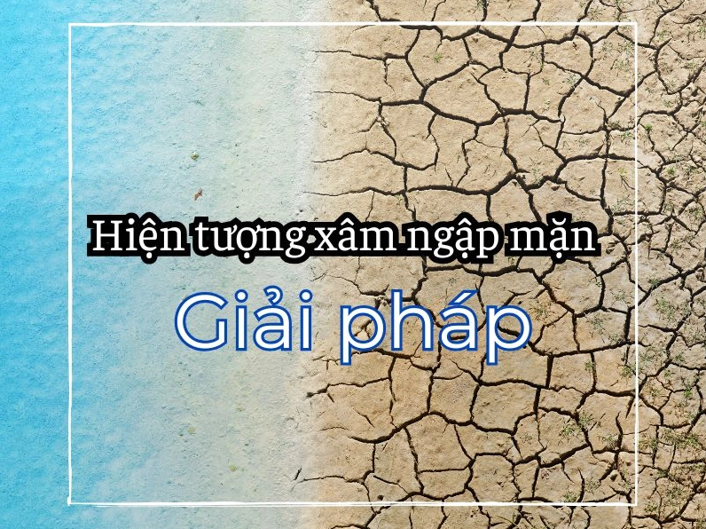 Nội dung thực tế của ảnh: Hiện tượng xâm nhập mặn và giải pháp hiện nay