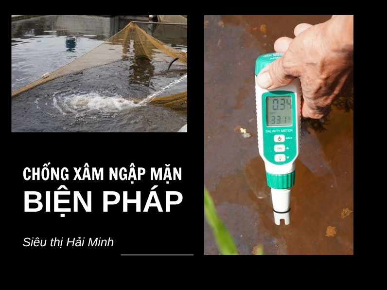 Nội dung thực tế của ảnh: Hiện tượng xâm nhập mặn và giải pháp hiện nay