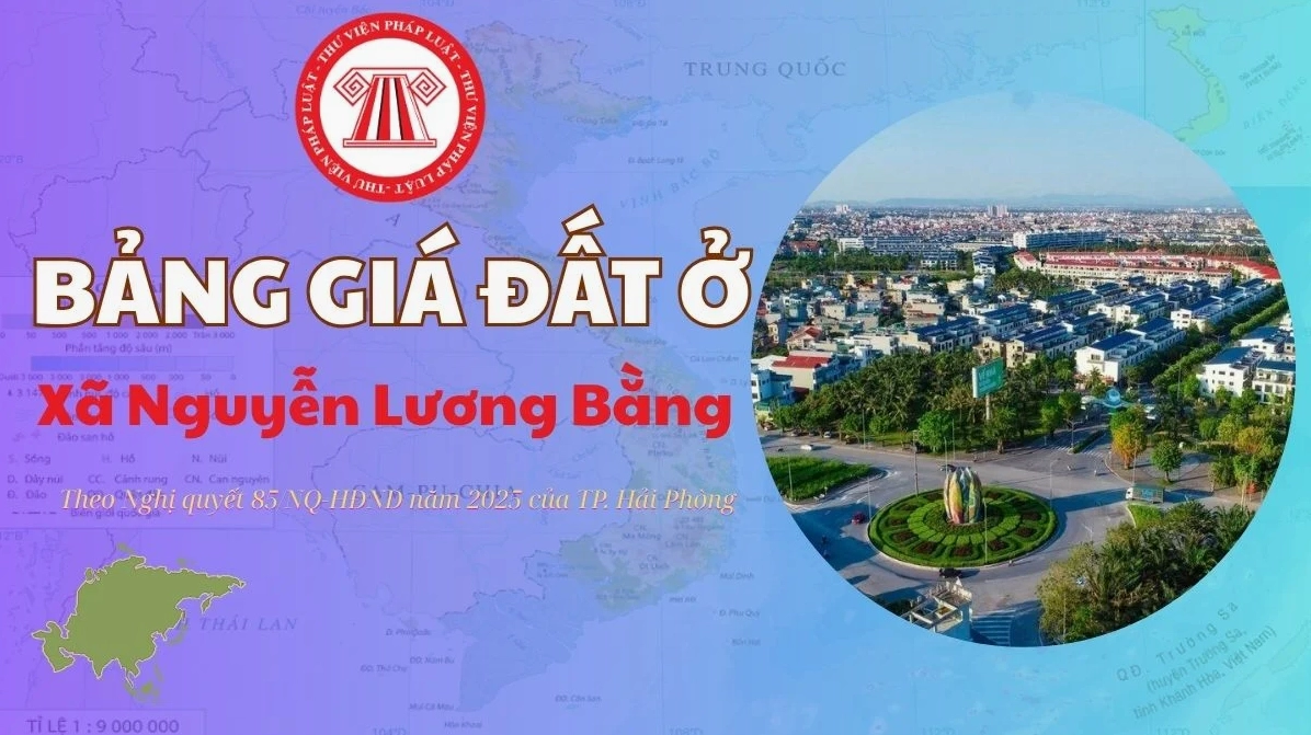 Pháp luật