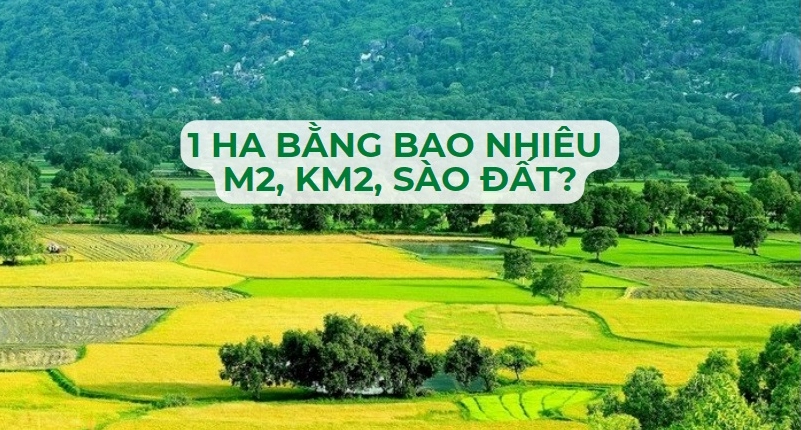 Quy đổi 1 ha bằng bao nhiêu km2, sào đất và mẫu đất theo từng vùng