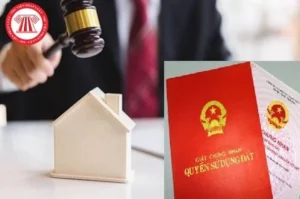 sang-ten-so-do-cho-con-het-bao-nhieu-tien-nam-2026-huong-dan_825