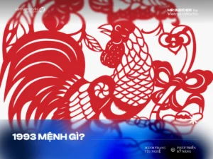 sinh-nam-1993-hop-voi-tuoi-nao-giai-ma-bi-an-tinh-duyen-su-n_752