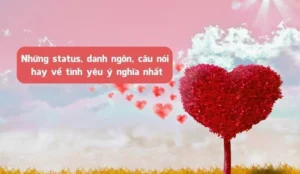 suc-manh-cam-xuc-kham-pha-nhung-cau-noi-hay-ve-tinh-yeu-bat-_369