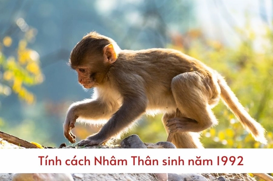 tính cách nam sinh năm 1992