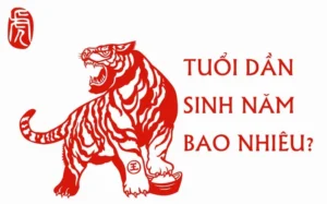 tuoi-dan-sinh-nam-bao-nhieu-luan-giai-chi-tiet-menh-cach-tam_585
