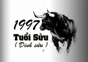 tuoi-dinh-suu-1997-hop-mau-gi-2025-kham-pha-bi-quyet-thu-hut_938