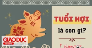 tuoi-hoi-sinh-nam-bao-nhieu-kham-pha-van-menh-phong-thuy-202_564