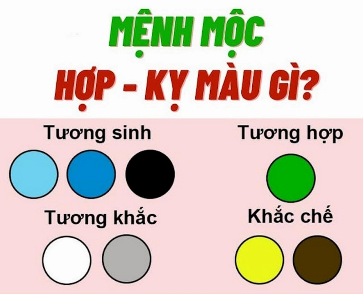 Tuổi Kỷ Tỵ 1989 hợp màu gì?