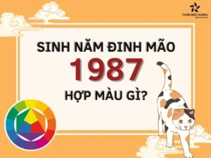 tuoi-mao-1987-hop-mau-gi-2024-bi-quyet-chon-mau-may-man-bac-_623