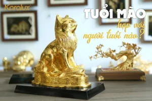 tuoi-mao-sinh-nam-bao-nhieu-giai-ma-menh-tam-hop-cho-van-khi_138