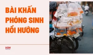 van-khan-phong-sinh-don-gian-chuan-xac-nhat-cho-moi-nguoi_545