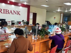 vay-ngan-hang-agribank-300-trieu-lai-suat-bao-nhieu-nam-2026_335
