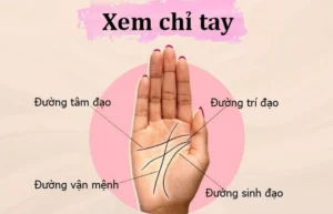 xem-chi-tay-co-dung-khong-giai-ma-su-that-ve-van-menh-duoi-g_893