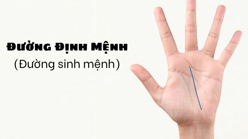 Xem chỉ tay đường định mệnh (Nguồn ảnh: Internet)