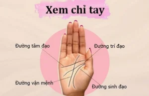 xem-chi-tay-nu-bi-quyet-giai-ma-tinh-duyen-su-nghiep-van-men_632