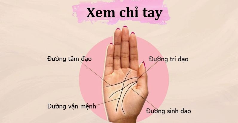 xem chỉ tay