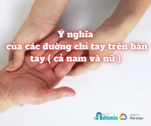xem-duong-chi-tay-nu-2026-giai-ma-van-menh-tinh-duyen-su-ngh_867