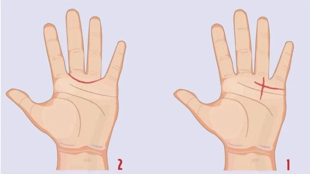 xem đường chỉ tay nữ